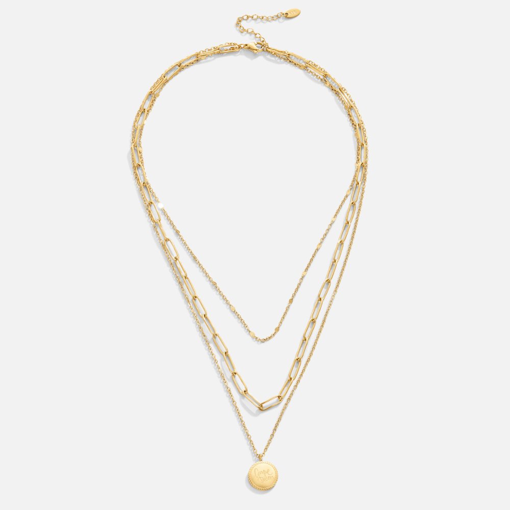 Janie Carpe Diem - Coin Layered Necklace