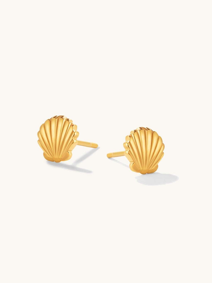 Shell Ohrringe Gold